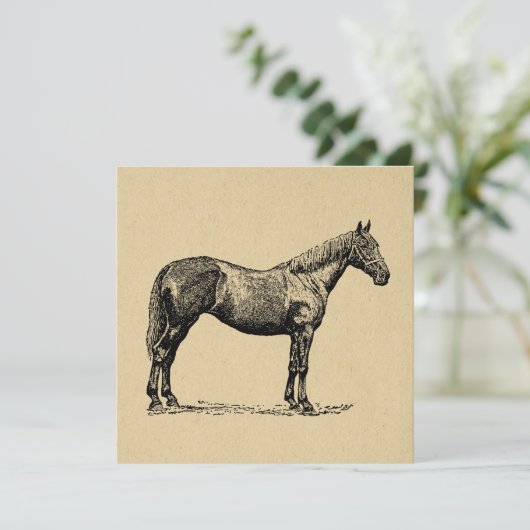 ヴィンテージホースアート図解入りの、写真付きの馬術芸術 シーズンカード (スタンド正面)