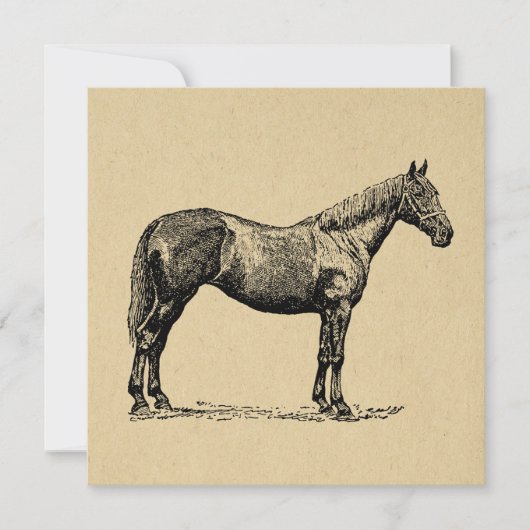 ヴィンテージホースアート図解入りの、写真付きの馬術芸術 シーズンカード (正面)