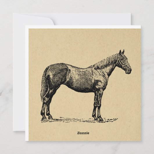 ヴィンテージホースアート図解入りの、写真付きの馬術芸術 シーズンカード (裏面)