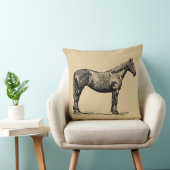 ヴィンテージホースア図解入りの、写真付きのート馬術 クッション (椅子)