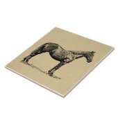 ヴィンテージホースア図解入りの、写真付きのート馬術 タイル (側面)