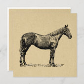 ヴィンテージホースア図解入りの、写真付きのート馬術 ノートカード (正面/裏面)