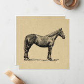 ヴィンテージホースア図解入りの、写真付きのート馬術 ノートカード (正面/裏面インサイチュ)