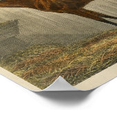 ヴィンテージホースプリント1873ブルーコーン ポスター (角)