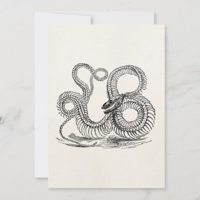 ヴィンテージボアスネークスケルトンパーソナライズされたテンプレート (正面)