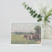 ヴィンテージボカグランデ，フロリダゴルフコース ポストカード (スタンド正面)