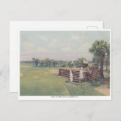 ヴィンテージボカグランデ，フロリダゴルフコース ポストカード (正面/裏面)