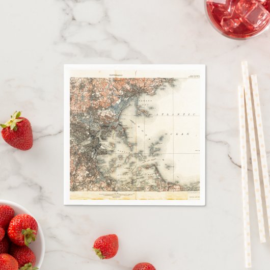 ヴィンテージボストンの地図 スタンダードカクテルナプキン (インサイチュ)