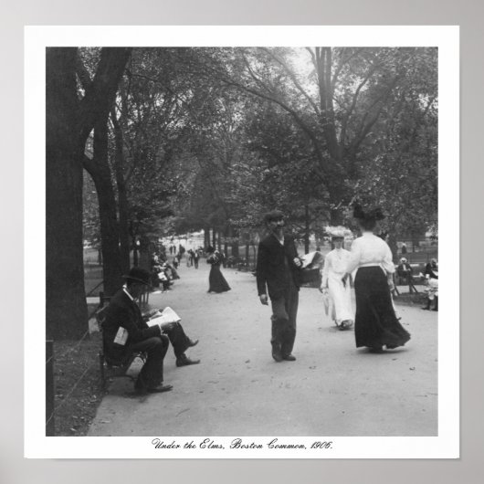 ヴィンテージボストンコモン,アメリカ合衆国エルムスの下 ポスター (正面)