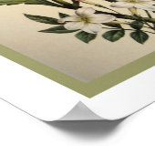 ヴィンテージボタニカルアジサイプリント12 x 16 ポスター (角)