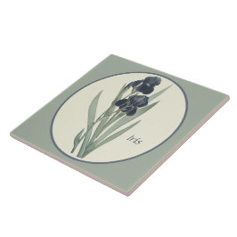 ヴィンテージボタニカルアートアイリスブロッズカメオ タイル