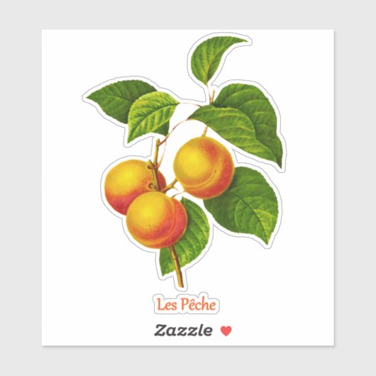 ヴィンテージボタニカルアート – 桃と葉 シール (シート)