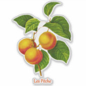 ヴィンテージボタニカルアート – 桃と葉 シール (正面)