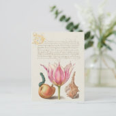 ヴィンテージボタニカルイラストレーションホリディハガキ シーズンポストカード (スタンド正面)