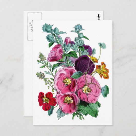 ヴィンテージボタニカルイラストレーション ポストカード (正面/裏面)