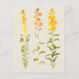 ヴィンテージボタニカルウォールフラワーイラストレーション ポストカード