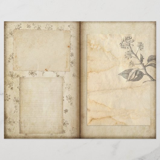 ヴィンテージボタニカルガーデンジャーナルスクラップブック紙 (正面)