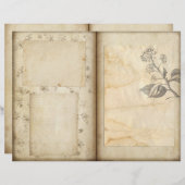 ヴィンテージボタニカルガーデンジャーナルスクラップブック紙 (正面/裏面)