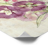 ヴィンテージボタニカルクラキア ポスター (角)