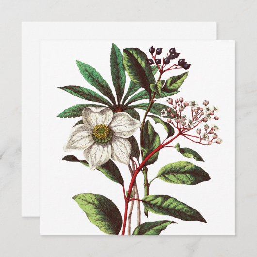 ヴィンテージボタニカルクリスマスバラフラワーブーケ (正面/裏面)