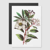 ヴィンテージボタニカルクリスマスバラフラワーブーケ (正面/裏面)