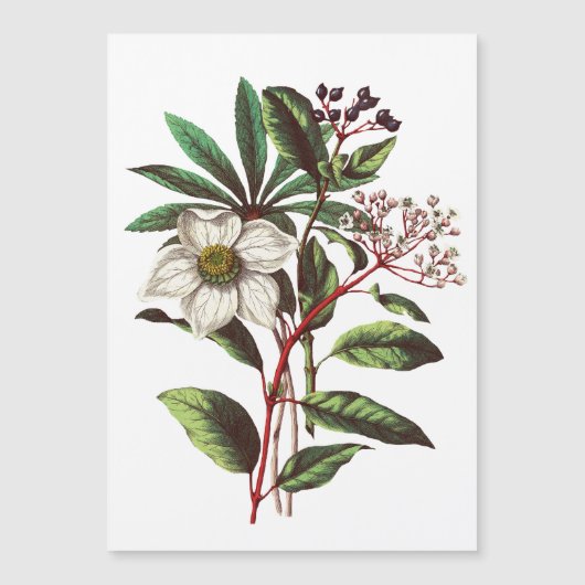 ヴィンテージボタニカルクリスマスバラフラワーブーケ (正面)