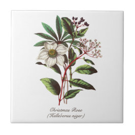 ヴィンテージボタニカルクリスマスバラフラワーブーケ タイル