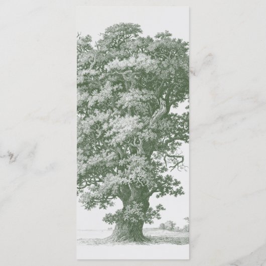 ヴィンテージボタニカルグリーンガーデン結婚パーティーテーマ メニュー (裏面)