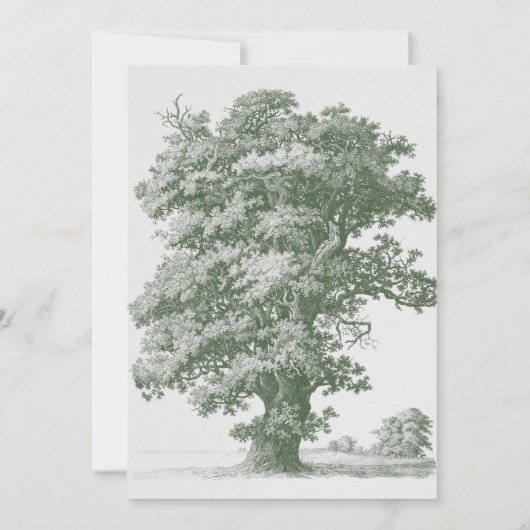 ヴィンテージボタニカルグリーンガーデン結婚パーティーテーマ 招待状 (裏面)