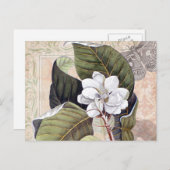 ヴィンテージボタニカルコラージュとマグノリア ポストカード (正面/裏面)
