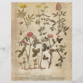 ヴィンテージボタニカルスクラップブック紙 (正面)