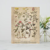 ヴィンテージボタニカルスクラップブック紙 (スタンド正面)