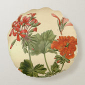 ヴィンテージボタニカルゾナルゼラニウムフローライラストレティ ラウンドクッション (裏面)