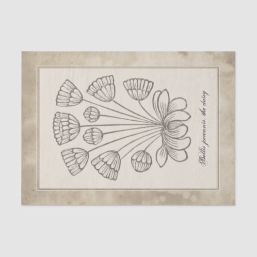 ヴィンテージボタニカルデイジーフラワーパーチメントデコパージュ 薄葉紙 (正面)