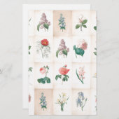 ヴィンテージボタニカルバイルドート 便箋 (正面/裏面)