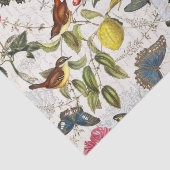 ヴィンテージボタニカルバタフライ&バードティッシュペーパー 薄葉紙 (詳細)