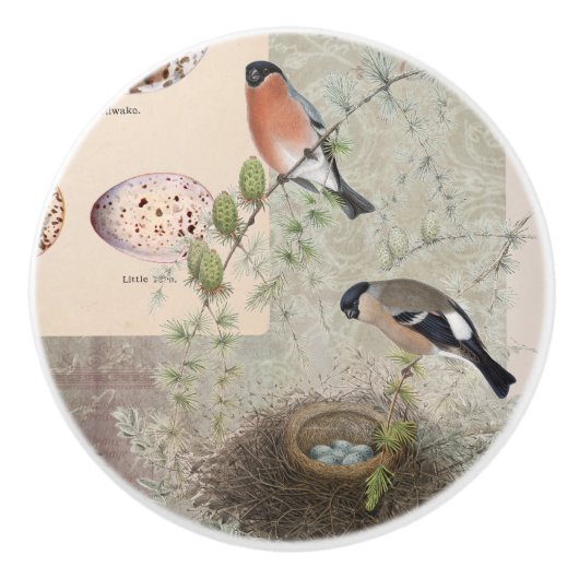 ヴィンテージボタニカルバードネストエッグスカクタスエフェメラ セラミックノブ (正面)