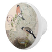 ヴィンテージボタニカルバードネストエッグスカクタスエフェメラ セラミックノブ (右)