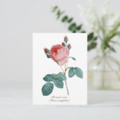 ヴィンテージボタニカルピンクプロヴァンスバラフローラ ポストカード (スタンド正面)