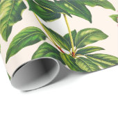 ヴィンテージボタニカルピンクマウンテンローレルフラワー ラッピングペーパー (ロールコーナー)