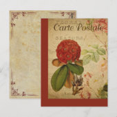 ヴィンテージボタニカルフランスのポストカードシャクナゲ ポストカード (正面/裏面)