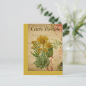 ヴィンテージボタニカルフランスのポストカードデイジー ポストカード (スタンド正面)