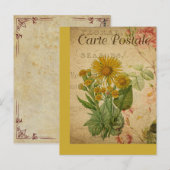 ヴィンテージボタニカルフランスのポストカードデイジー ポストカード (正面/裏面)