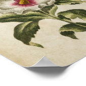 ヴィンテージボタニカルフローラアルテアフルーテックスプリント ポスター (角)