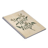 ヴィンテージボタニカルフローラジャスミンイラストレーション ノートブック (右側)