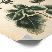 ヴィンテージボタニカルフローラゼラニウムプリント ポスター (角)