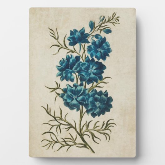 ヴィンテージボタニカルフローラダブルラークスパー フォトプラーク (正面)