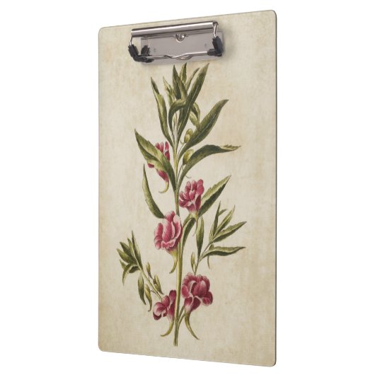 ヴィンテージボタニカルフローラバルサムイラストレーション クリップボード (左)