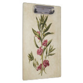 ヴィンテージボタニカルフローラバルサムイラストレーション クリップボード (右)