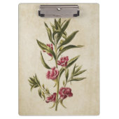 ヴィンテージボタニカルフローラバルサムイラストレーション クリップボード (正面)